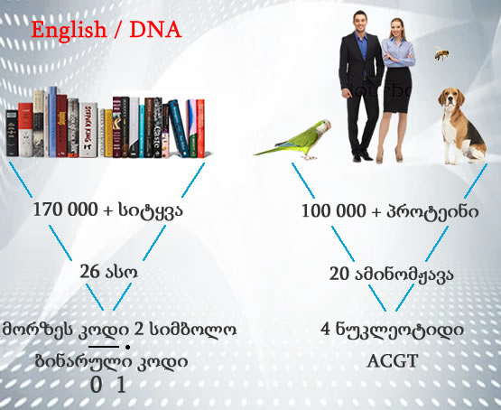 DNA